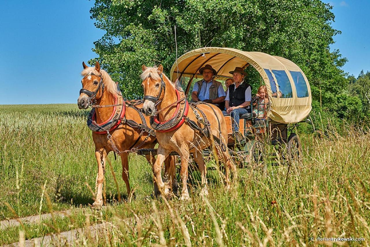 Haflingerhof Galster Διαμέρισμα Markt Taschendorf Εξωτερικό φωτογραφία